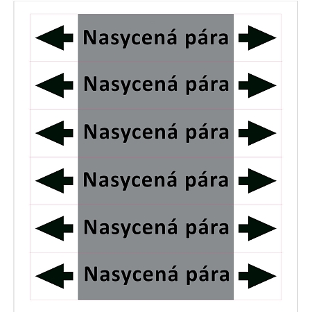 Značení potrubí ISO 20560, nasycená pára